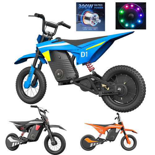 Electric dirt bike kids 300w - dirt,