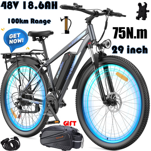 Electric dirt bike 75nm - 29",